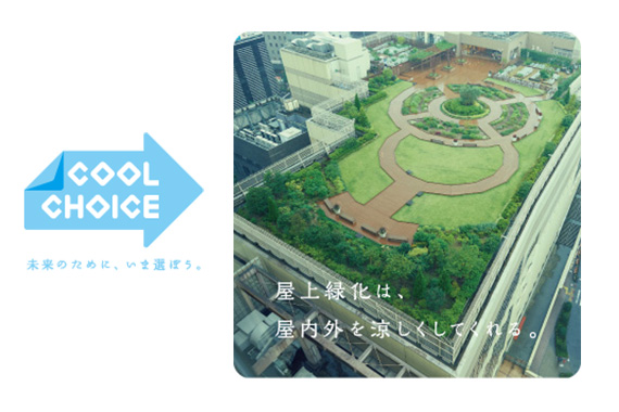 COOL CHOICE